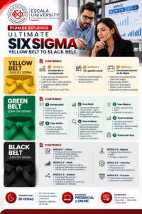 Plan de estudios Ultimate Six Sigma, de Yellow Belt a Black Belt